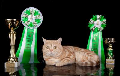 �������� ����� '������� ���-�����' 30 ������-1 ������� 2013� 125_mono_scs_IMG_4535 copy.jpg